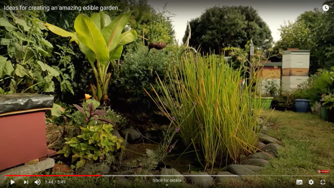 Ideas for creating an amazing edible garden