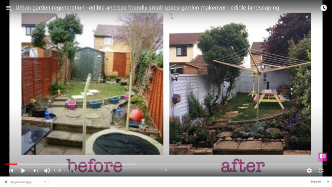 Lizzie Dean Before After Garden