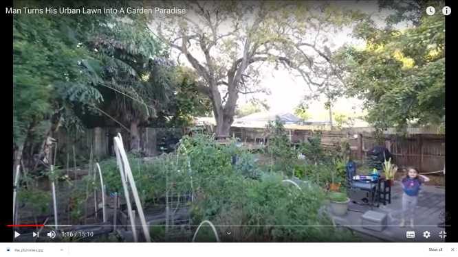 Justin Rhodes Urban Garden