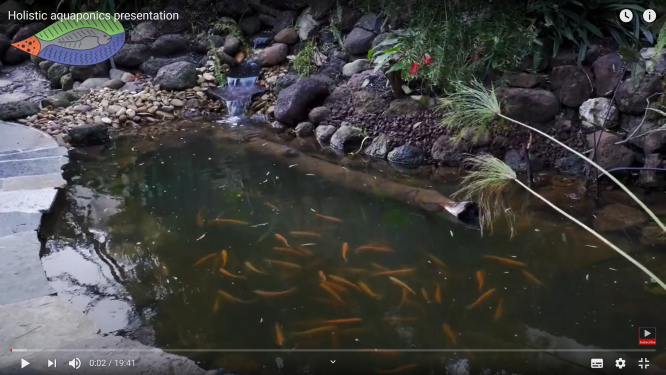 Melbourne Aquaponics